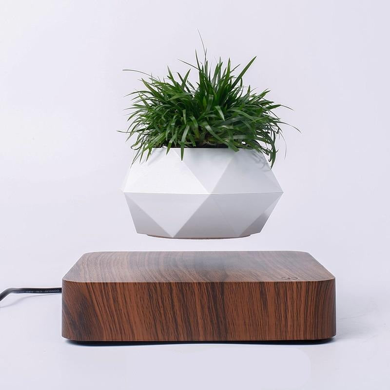 Flower Floating Potted Plant For Desk Decor